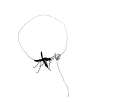 Single pretty and the mosquito sticker #12649308