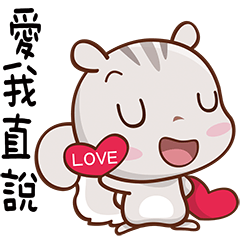 Little Cute Squirrel