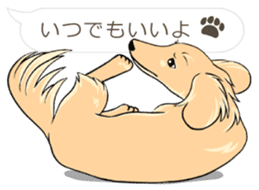 Hukidashi Dachshunds vol.3 sticker #12651065