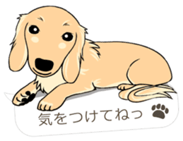 Hukidashi Dachshunds vol.3 sticker #12651068