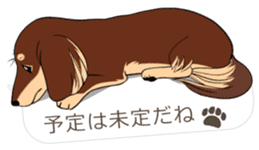 Hukidashi Dachshunds vol.3 sticker #12651069