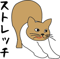 Various life,also various cat pose sticker #12654872