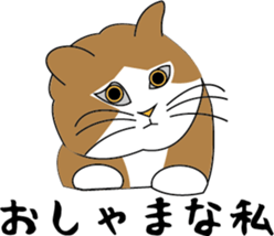 Various life,also various cat pose sticker #12654875