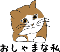 Various life,also various cat pose sticker #12654875