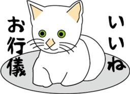 Various life,also various cat pose sticker #12654880