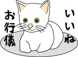 Various life,also various cat pose sticker #12654880