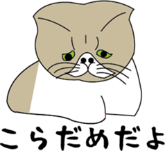 Various life,also various cat pose sticker #12654886