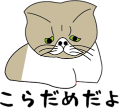 Various life,also various cat pose sticker #12654886