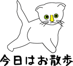 Various life,also various cat pose sticker #12654887