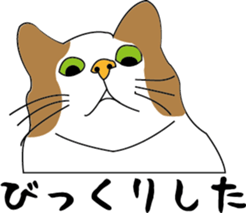 Various life,also various cat pose sticker #12654890