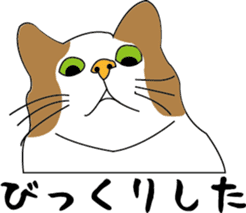 Various life,also various cat pose sticker #12654890
