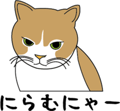 Various life,also various cat pose sticker #12654891