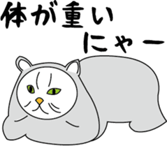 Various life,also various cat pose sticker #12654893