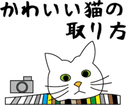Various life,also various cat pose sticker #12654898