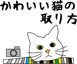 Various life,also various cat pose sticker #12654898