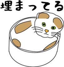 Various life,also various cat pose sticker #12654899