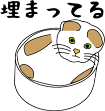 Various life,also various cat pose sticker #12654899