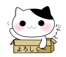 Nyanchi of black-and-white cat3 sticker #12656478