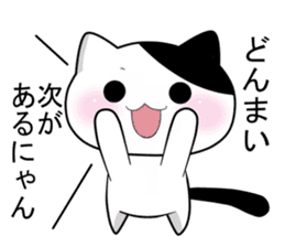 Nyanchi of black-and-white cat3 sticker #12656496