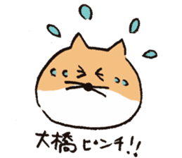 Loose cats for Oohashi sticker #12656661