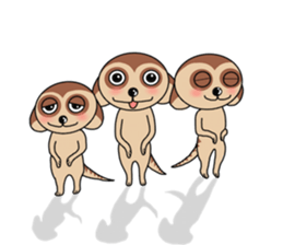 Meerkats,What cat ? sticker #12657358
