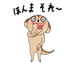 Meerkats,What cat ? sticker #12657361