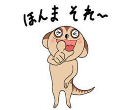 Meerkats,What cat ? sticker #12657361