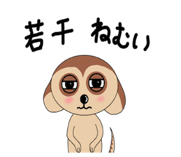 Meerkats,What cat ? sticker #12657363