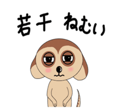 Meerkats,What cat ? sticker #12657363