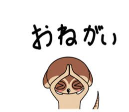 Meerkats,What cat ? sticker #12657364