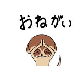 Meerkats,What cat ? sticker #12657364