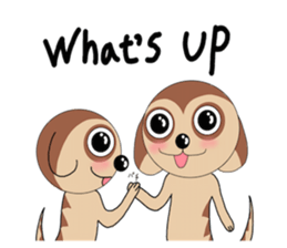Meerkats,What cat ? sticker #12657370