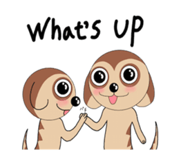 Meerkats,What cat ? sticker #12657370