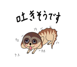 Meerkats,What cat ? sticker #12657371