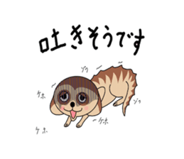 Meerkats,What cat ? sticker #12657371