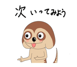 Meerkats,What cat ? sticker #12657379