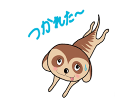 Meerkats,What cat ? sticker #12657381