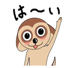 Meerkats,What cat ? sticker #12657383