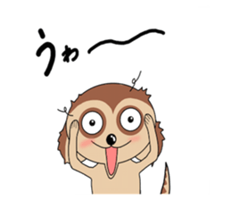 Meerkats,What cat ? sticker #12657384