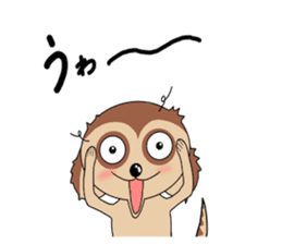 Meerkats,What cat ? sticker #12657384