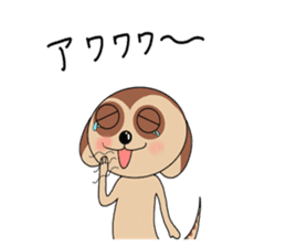 Meerkats,What cat ? sticker #12657389