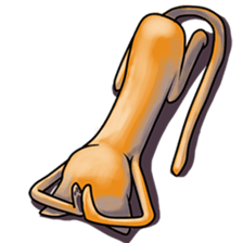 Skinny Cat sticker #12658101