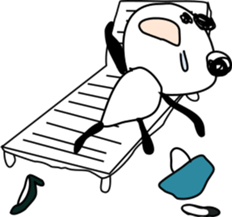 Drinking Happy Panda sticker #12659265