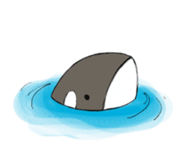 shachi-kun sticker #12660214