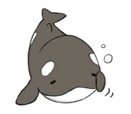 shachi-kun sticker #12660217