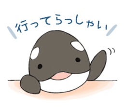 shachi-kun sticker #12660222