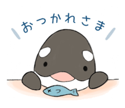 shachi-kun sticker #12660223