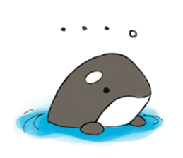 shachi-kun sticker #12660224