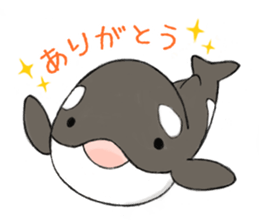 shachi-kun sticker #12660229