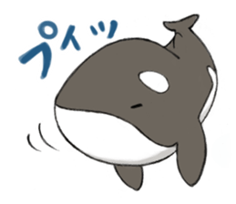 shachi-kun sticker #12660238